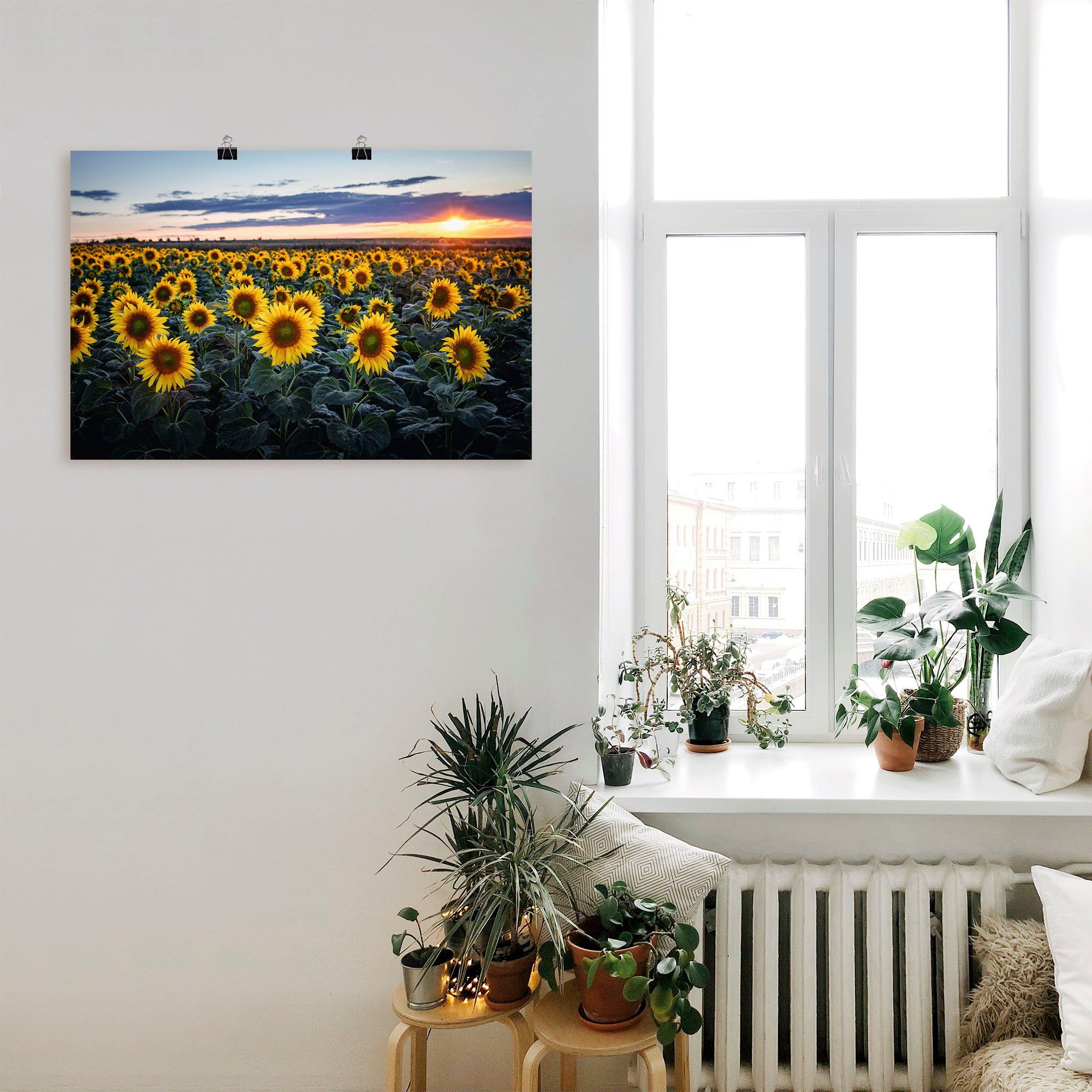 Artland Wandbild Sonnenblumenfeld, oder Leinwandbild, in Sonne (1 als St), Blumenwiese Alubild, versch. im Wandaufkleber Größen Hintergrund, Poster