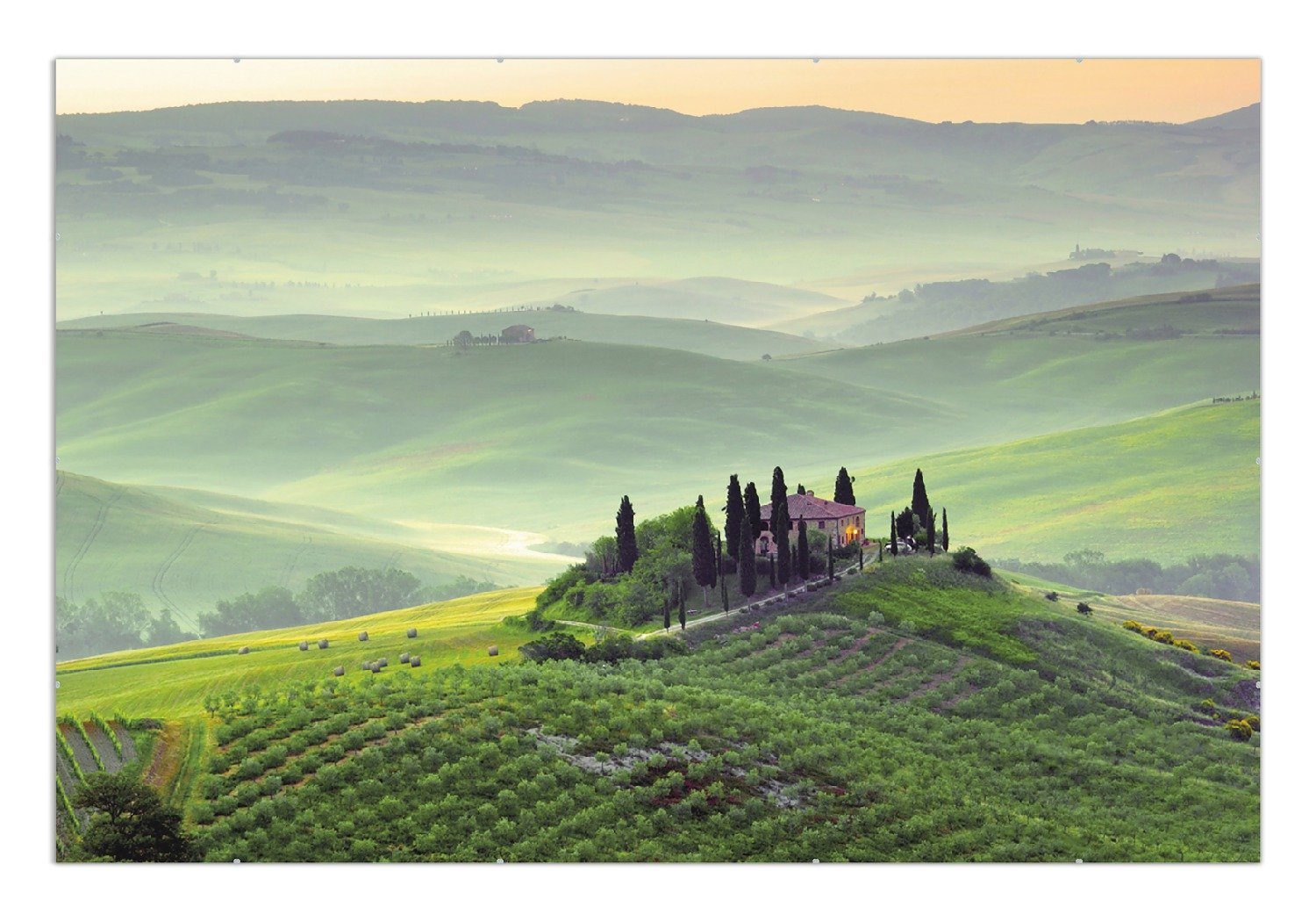Wallario Poster, Toskana in Italien, in günstig online kaufen
