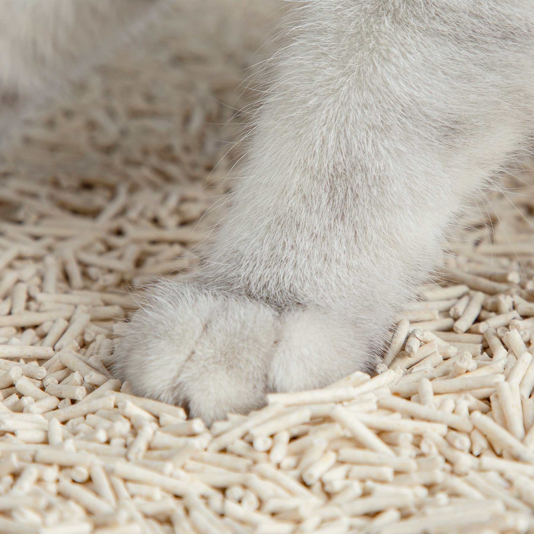 Versapet Katzenstreu Tofu Katzenstreu 40L 18,4kg (4-tlg), Klumpstreu für Katzenklo, Cat Litter, feste Klumpenbildung