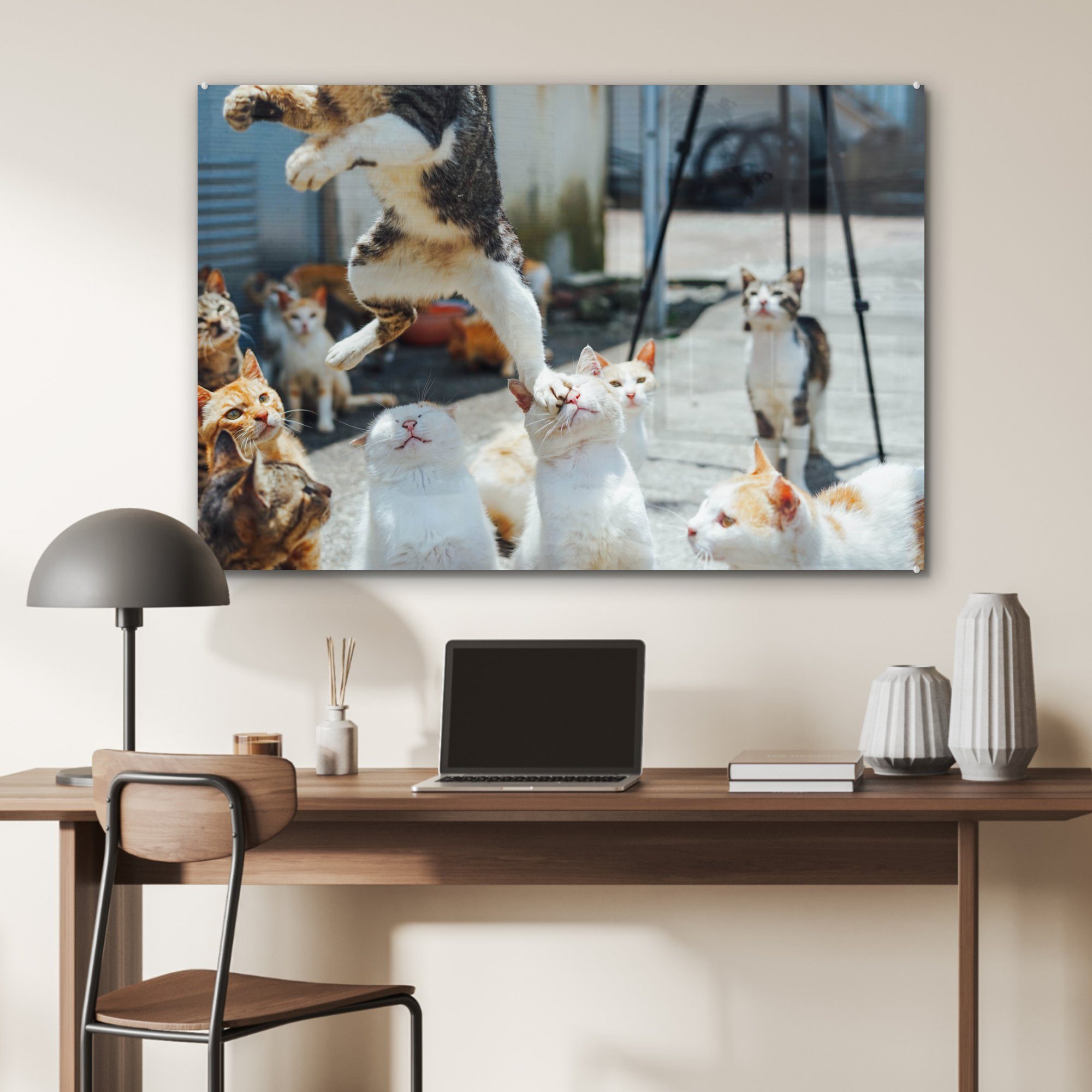 Komische Acrylglasbilder St), Wohnzimmer Acrylglasbild (1 Katze, über springt, Katzen & andere die MuchoWow Schlafzimmer