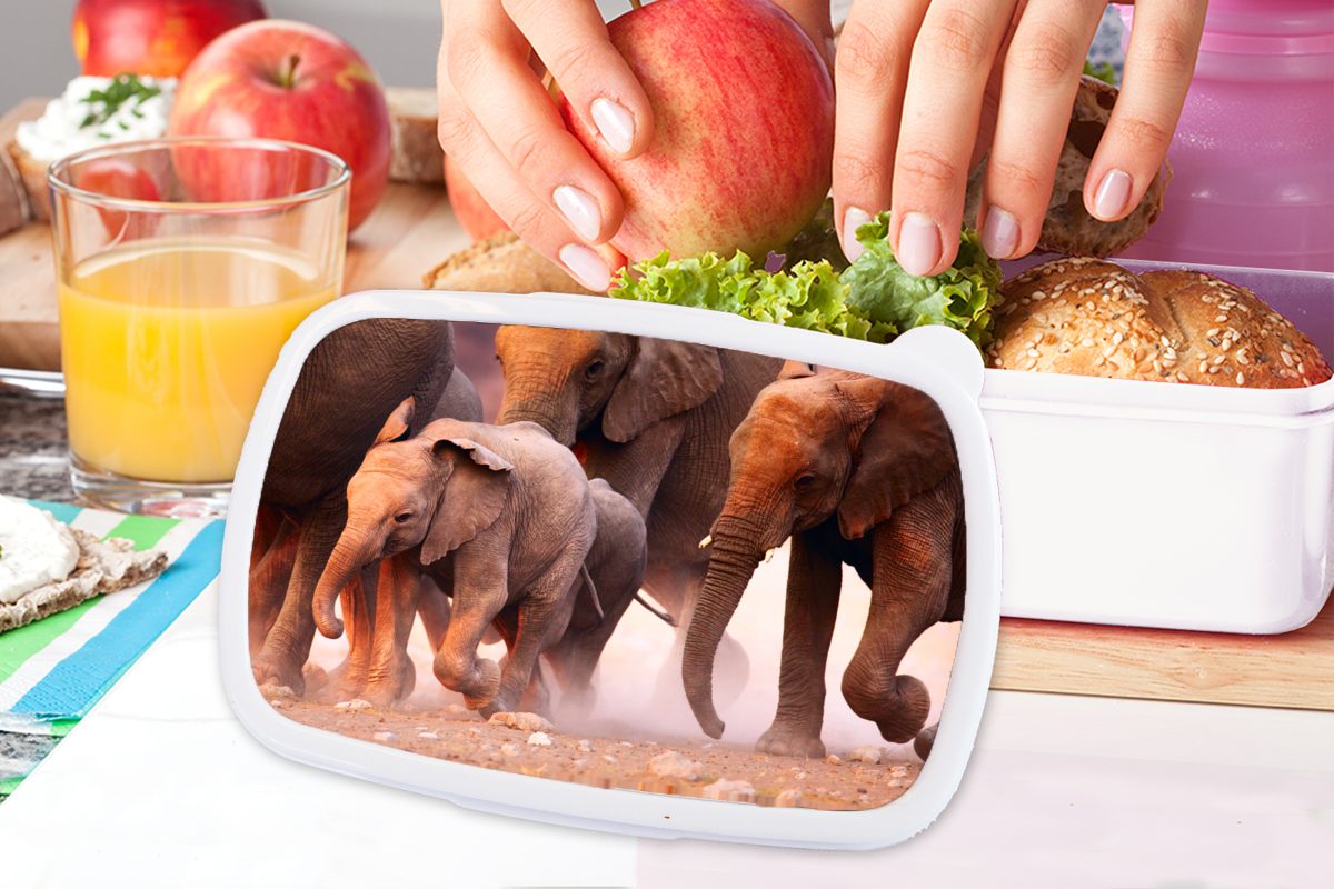 MuchoWow Lunchbox Elefant - Kinder Mädchen Stoff, Brotdose, für (2-tlg), Tiere für Kunststoff, Brotbox - und Jungs Erwachsene, und weiß