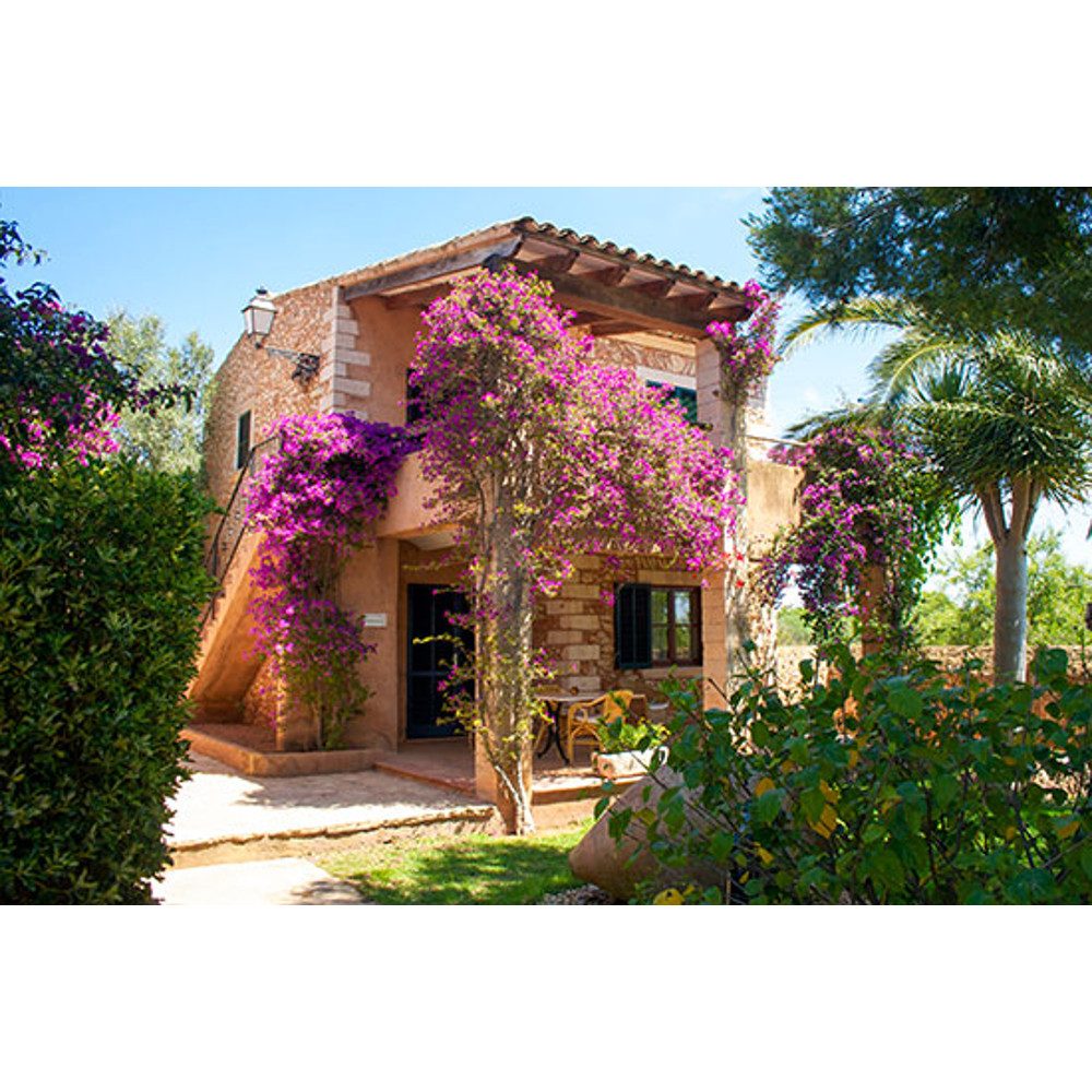 Jochen Schweizer Erlebnisgutschein Finca-Kurzurlaub auf Mallorca für 2, Zwischen Pinien und Palmen!