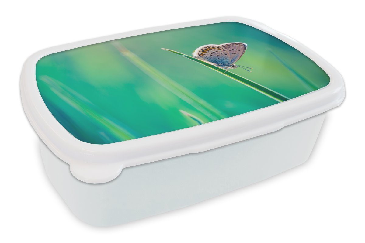 MuchoWow Lunchbox Schmetterling - Gras - Lila, Kunststoff, (2-tlg), Brotbox für Kinder und Erwachsene, Brotdose, für Jungs und Mädchen weiß