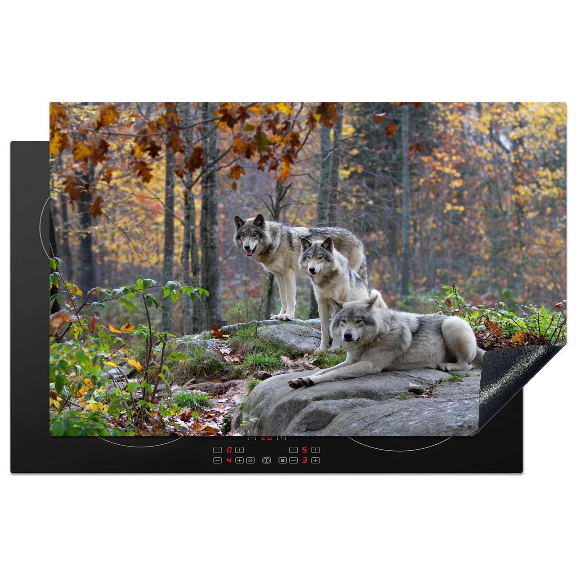 MuchoWow Herdblende-/Abdeckplatte Wolf - Herbst tlg), 81x52 - küche, Schutz für Induktionskochfeld cm, Vinyl, Wald, (1 Ceranfeldabdeckung die