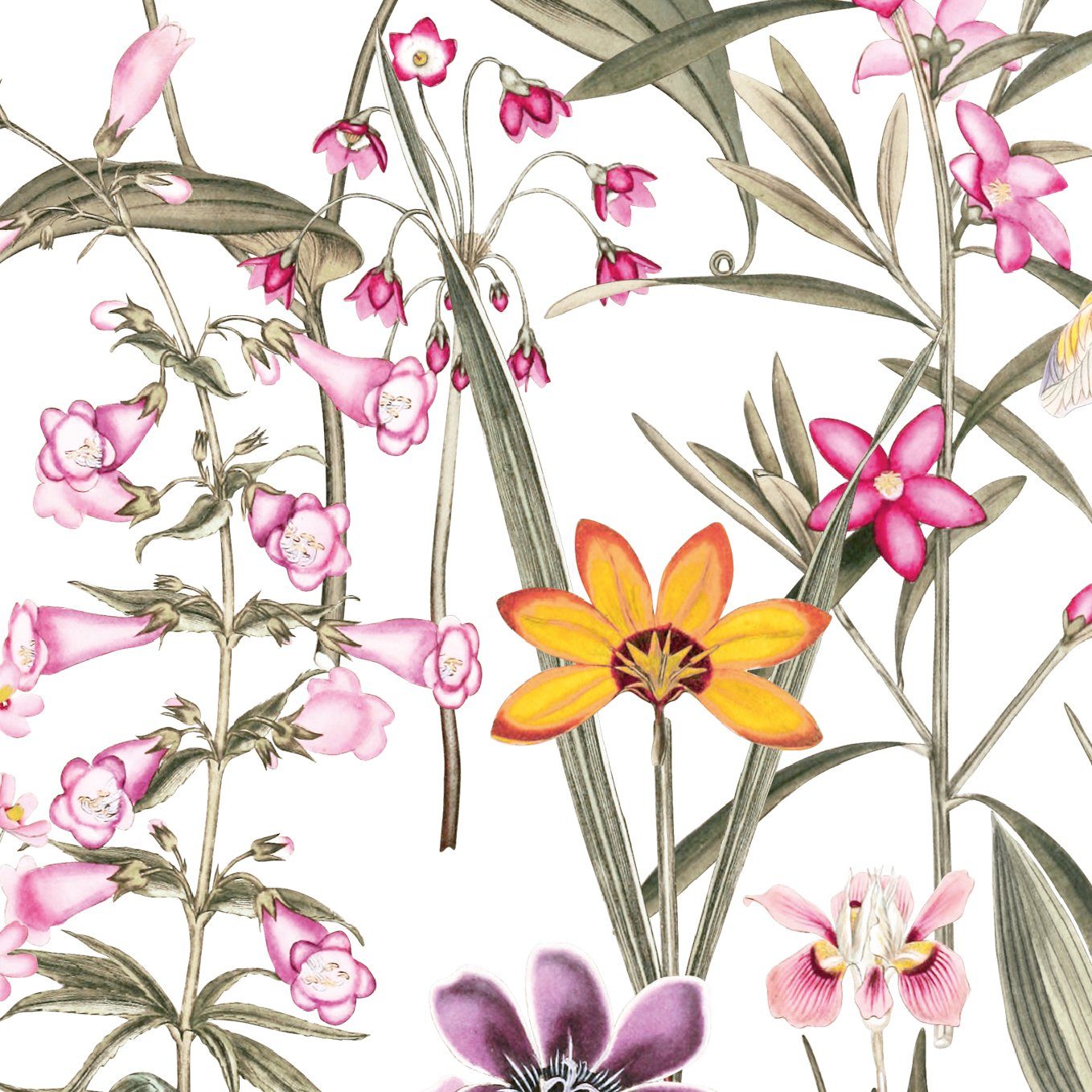 anna wand Bordüre Botanical Garden / Blumen - mehrfarbig auf weiß - selbstklebend, floral, selbstklebend | Selbstklebende Tapeten