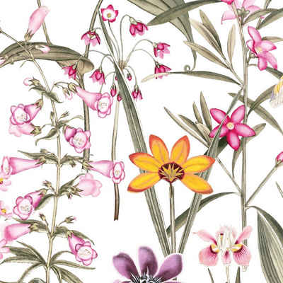 anna wand Bordüre Botanical Garden / Blumen - mehrfarbig auf weiß - selbstklebend, floral, selbstklebend