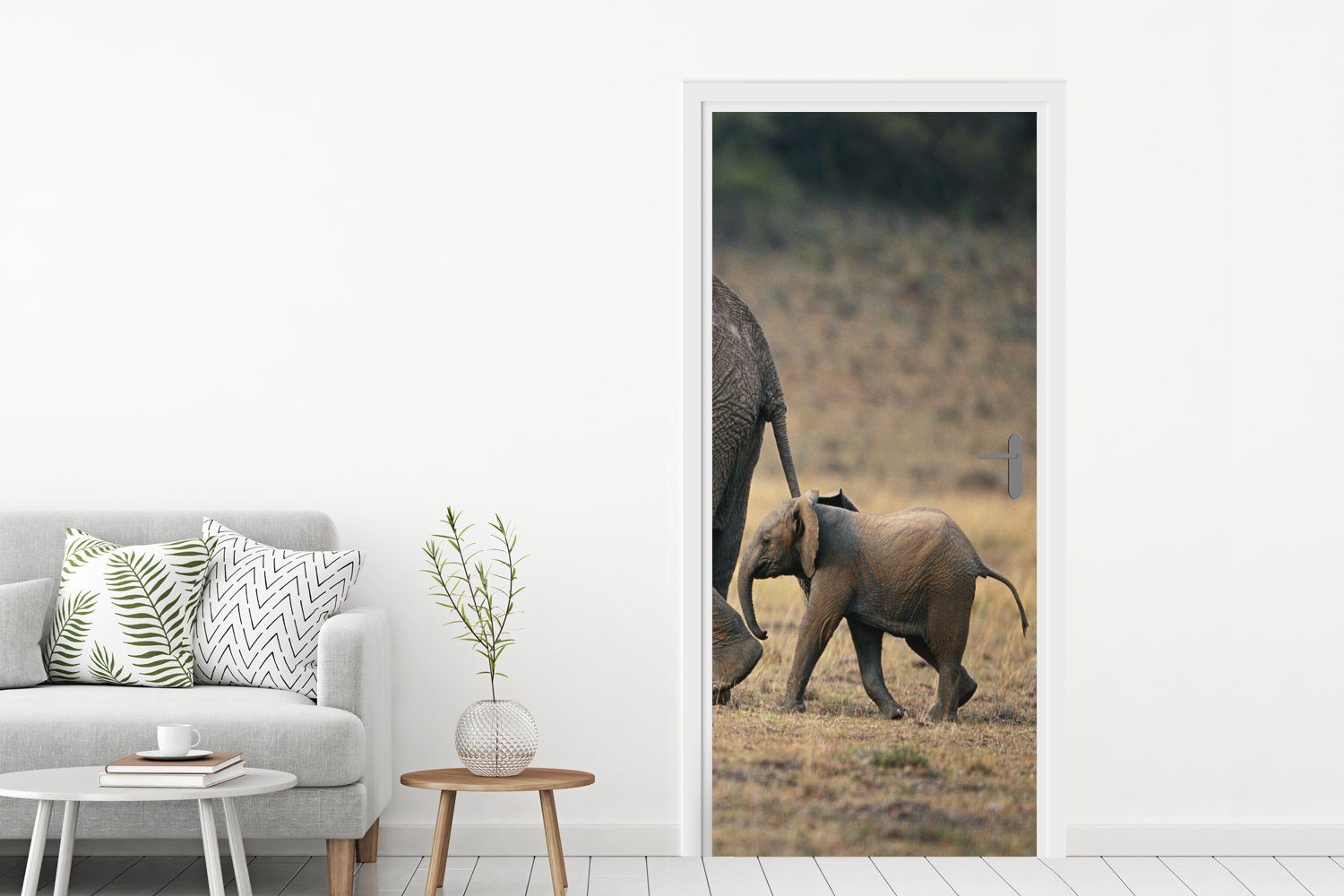 Tür, Matt, Tiere Savanne (1 75x205 für Türaufkleber, Fototapete cm Elefant - Türtapete Natur, MuchoWow - bedruckt, - St),