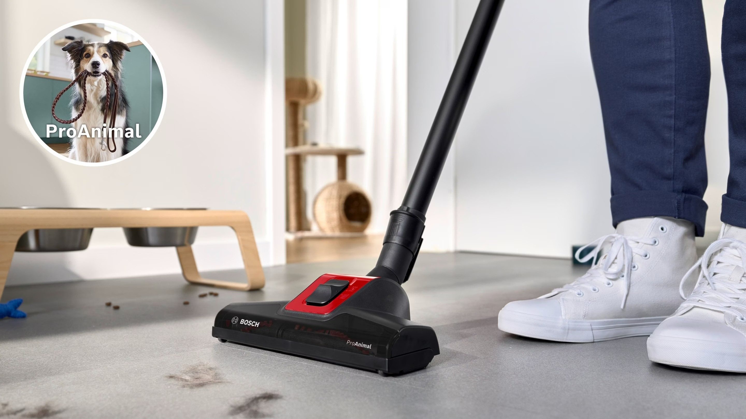 BOSCH Bodenstaubsauger Relaxx'x Series 8 ProAnimal BGS7PET1, 800 W, beutellos, Staubsauger mit Minibürste