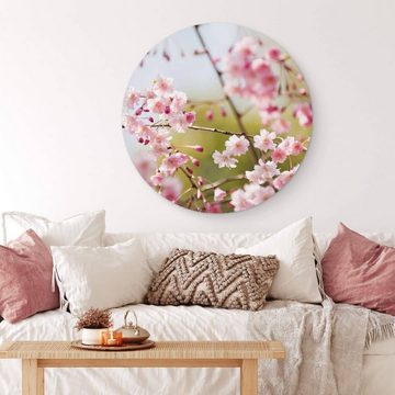 K&L Wall Art Gemälde Metallposter Rund Kirschblüten Rosa Blüten florale Cherry Blossom, Metalloptik Wandbild Ø 30cm