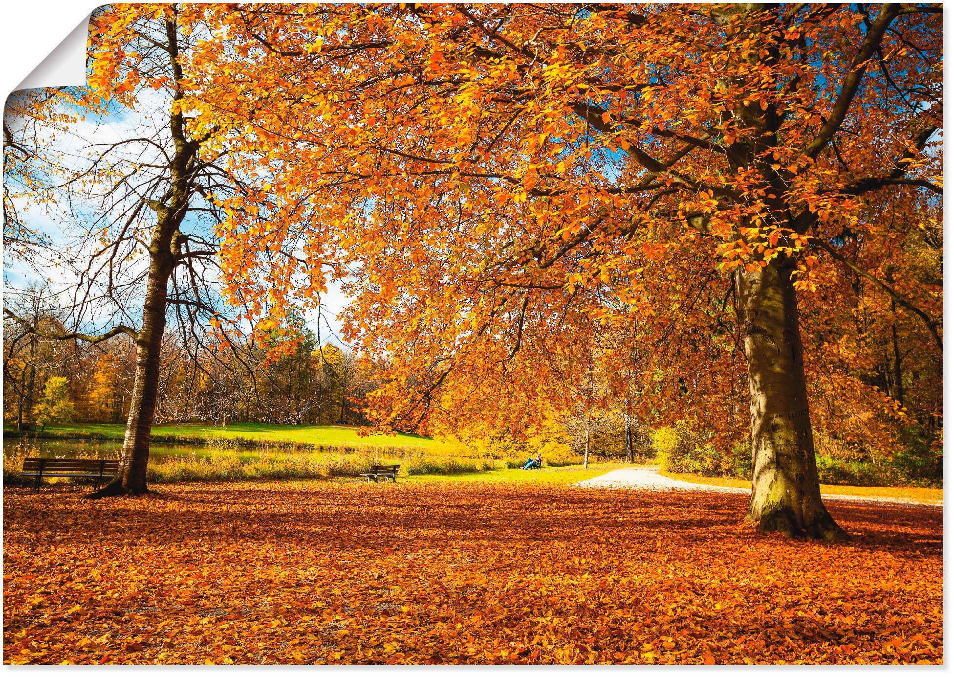 Artland in versch. St), oder Herbst bei Leinwandbild, Poster Wandbild Nymphenburg, als Schlosses Wandaufkleber (1 Bäume Alubild, Wiesen Größen &