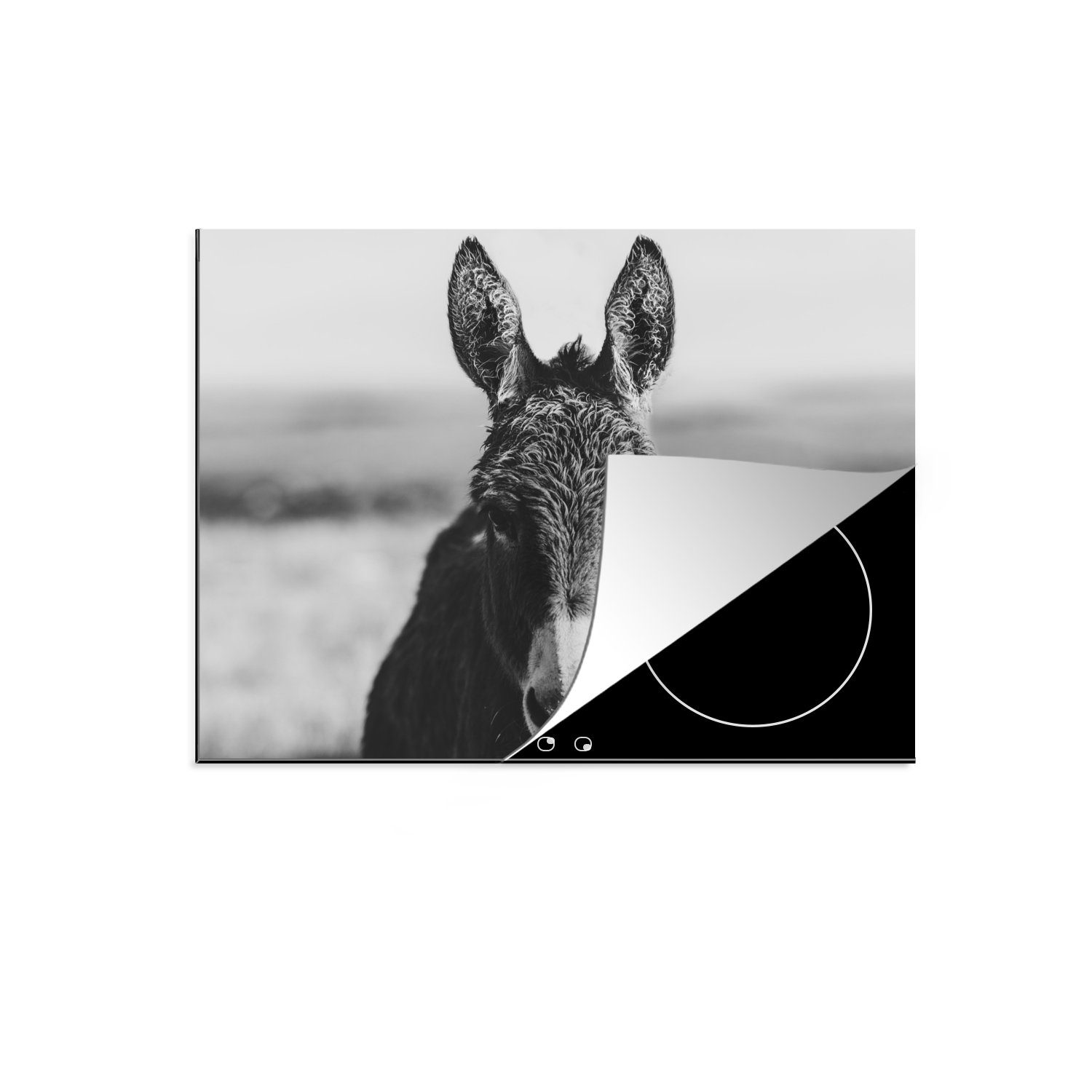 MuchoWow Herdblende-/Abdeckplatte Esel - cm, Vinyl, Weiß, (1 Induktionskochfeld, tlg), Schwarz - - Ceranfeldabdeckung Tiere Induktionsschutz, 57x51