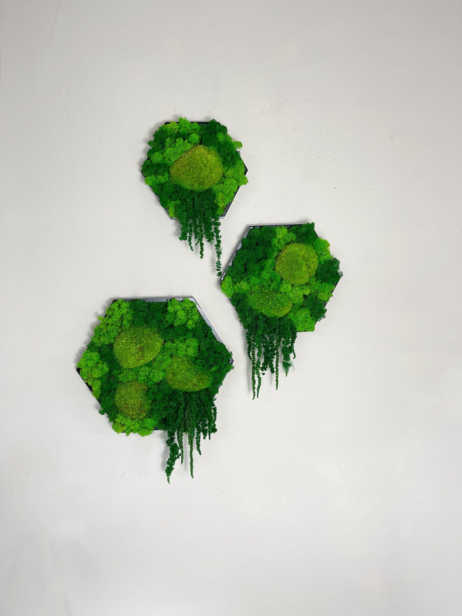 Gedankenwunder Manufaktur Bild Island Ranke Moosbild Hexagon Sechseck Wabe günstig online kaufen