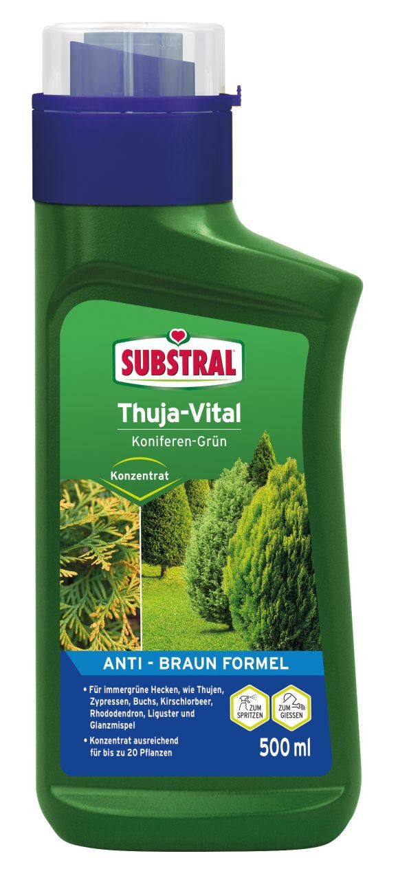 Substral Blumendünger Substral Thuja Vital Koniferen-Grün günstig online kaufen