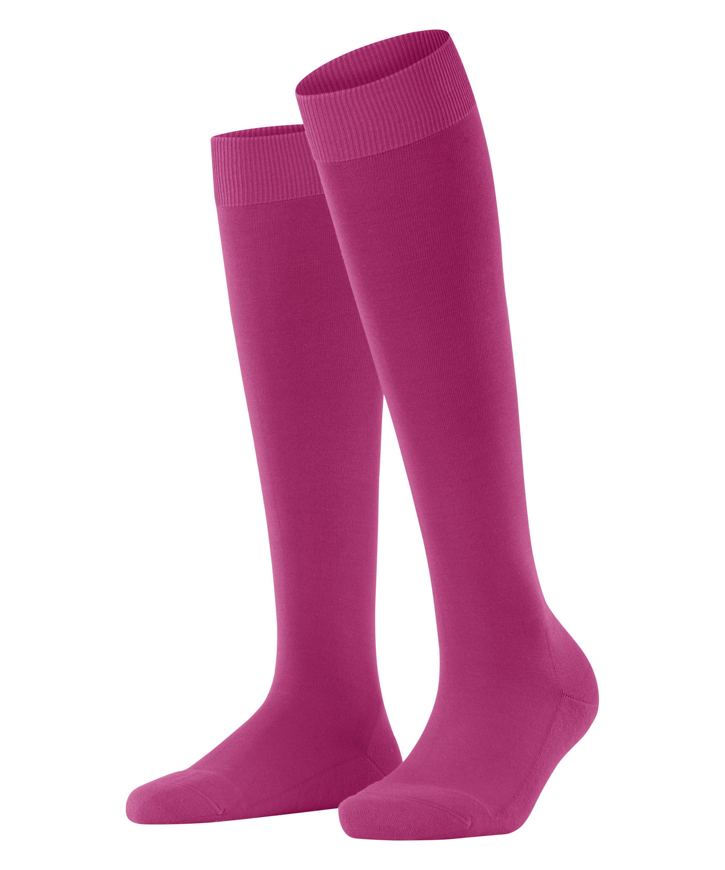 Kniestrümpfe ClimaWool Kniestrümpfe