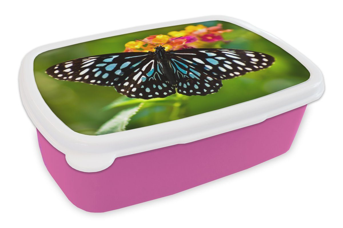 MuchoWow Lunchbox Blauer Tigerfalter, Kunststoff, (2-tlg), Brotbox für Erwachsene, Brotdose Kinder, Snackbox, Mädchen, Kunststoff rosa