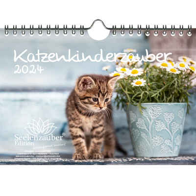 Seelenzauber Wandkalender Katzenkinderzauber DIN A5 Wandkalender für 2024 Katzenkinder Katzenbab