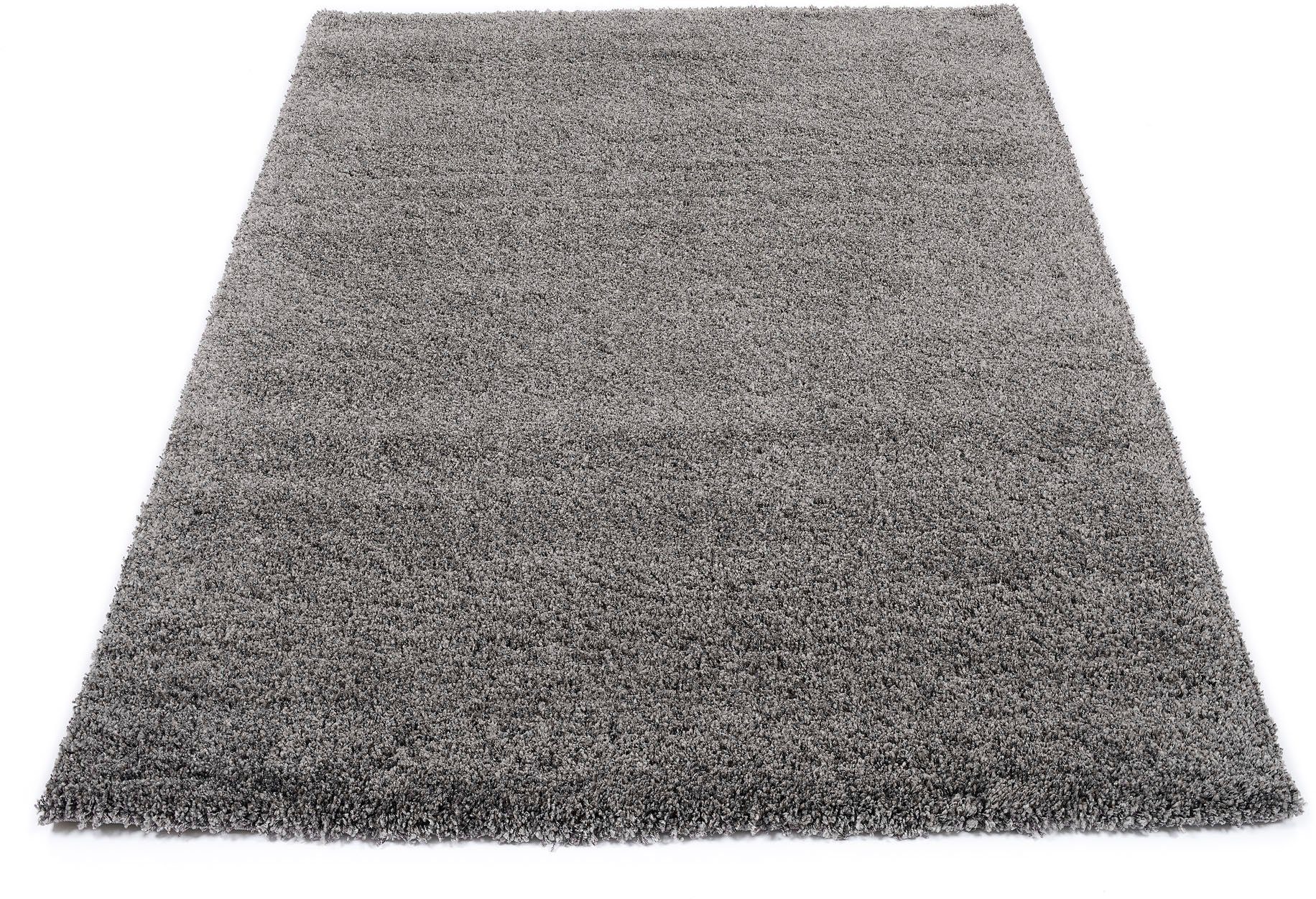 OCI DIE TEPPICHMARKE Hochflor-Teppich Lobby Shaggy, günstig online kaufen