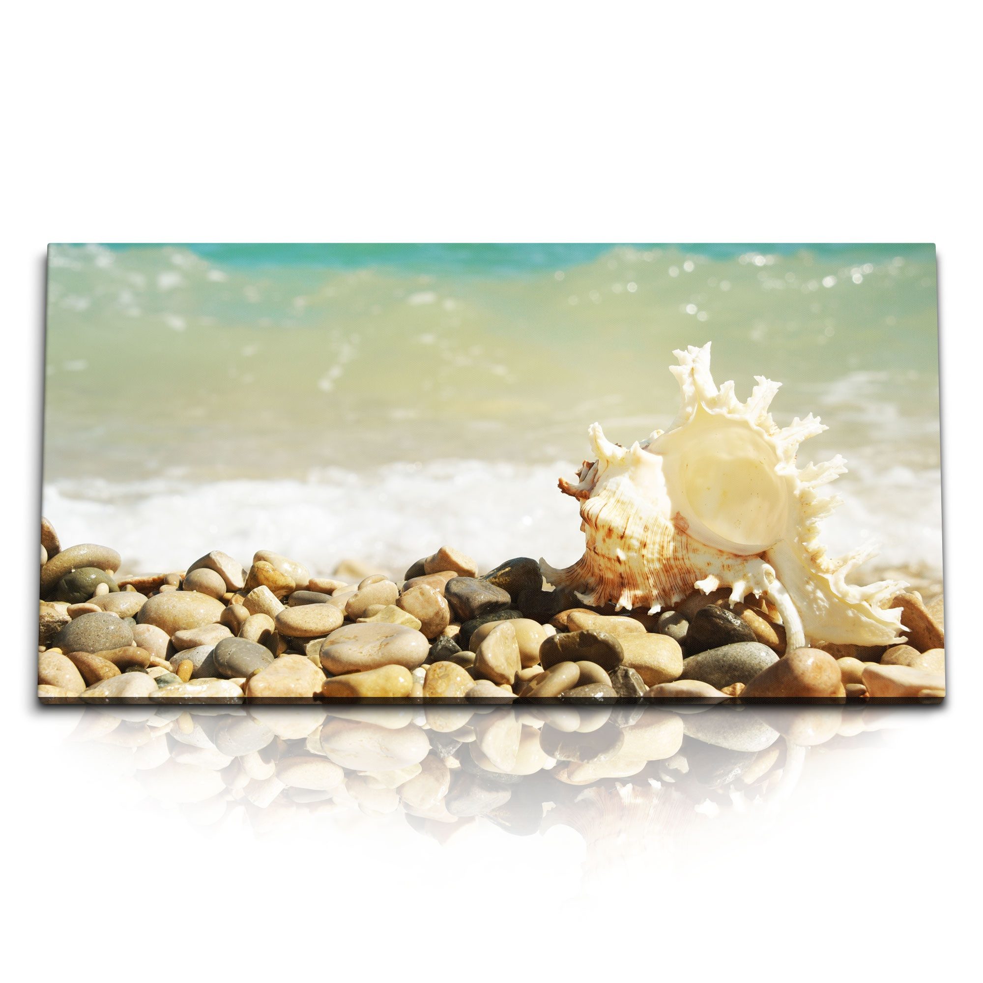 Leinwandbild Kunstdruck Bilder 120x60cm Meeresschnecke Muschel Strand Meer runde St