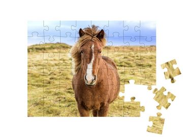puzzleYOU Puzzle Islandpony in freier Wildbahn, 48 Puzzleteile, puzzleYOU-Kollektionen Pferde, Islandpferde