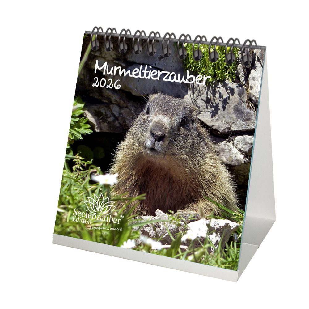 Seelenzauber Tischkalender Murmeltierzauber Tischkalender 10cm x 10cm für 2026 Murmeltier