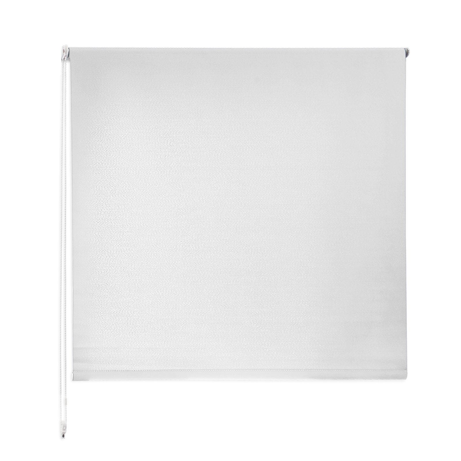 Verdunklungsrollo Night, verschiedene Farben, verschiedene Größen, günstig online kaufen
