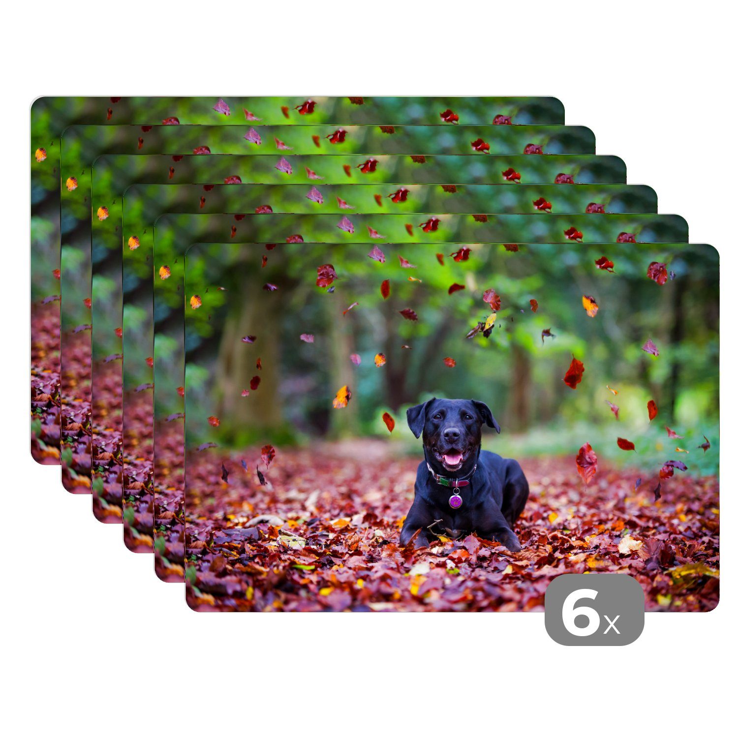 Platzset, Schwarzer Labrador Retriever zwischen schönen Herbstblättern liegend, MuchoWow, (6-St), Platzset, Platzdecken, Platzmatte, Tischmatten, Schmutzabweisend