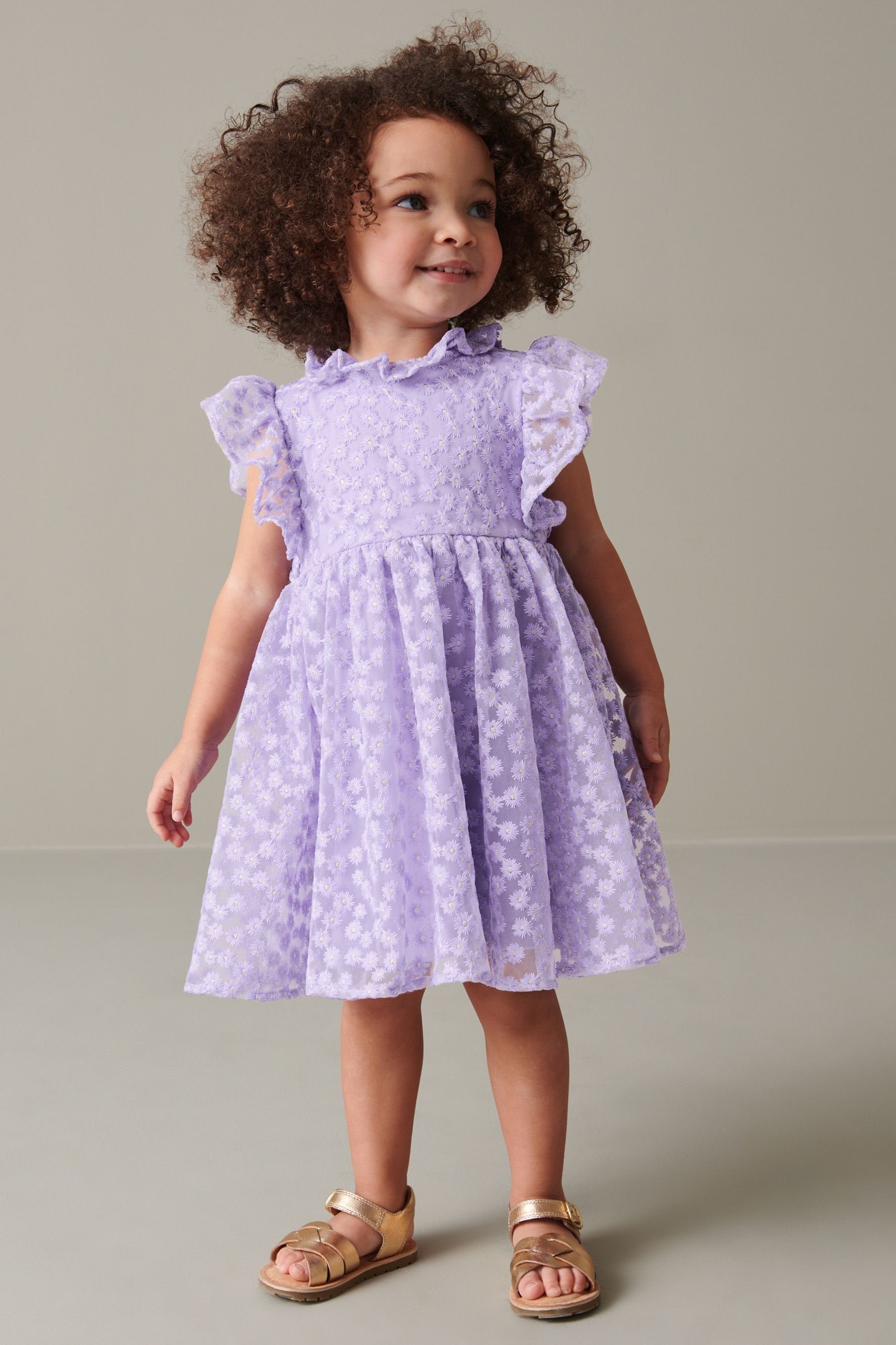 (1-tlg) Spitzenkleid kurzen Kleid mit Lilac Rüschenärmel Next Purple
