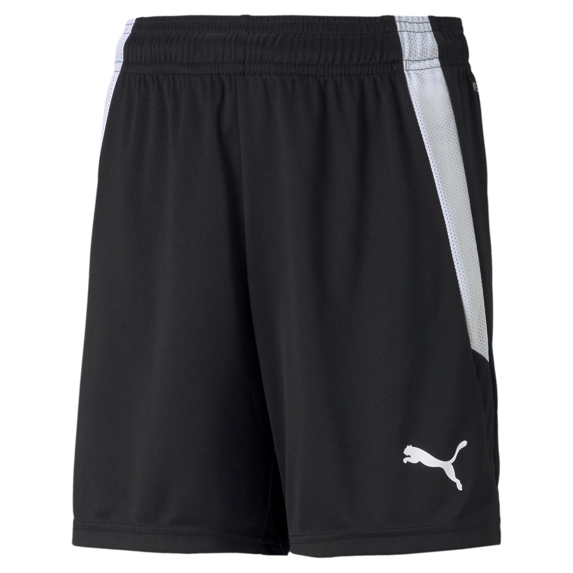 Trainingsshorts Puma Kinder Shorts teamLIGA Shorts Jr 704931