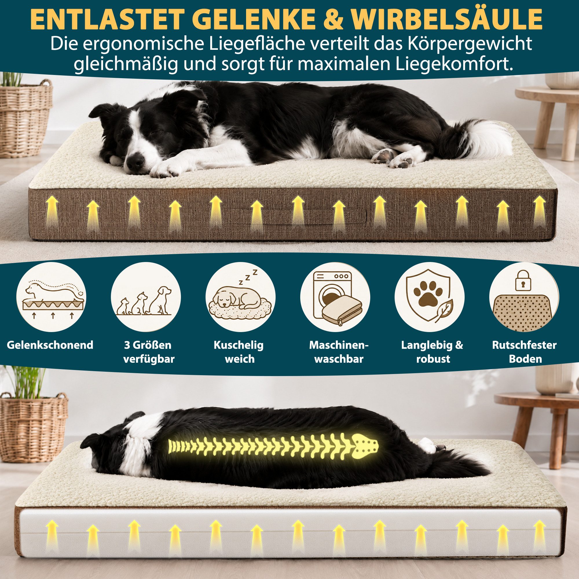Petsation Hundebett Orthopädisches Hundebett mit Memory Foam, Orthopädischer Memory Foam für optimale Druckentlastung – Bild 2 von 5