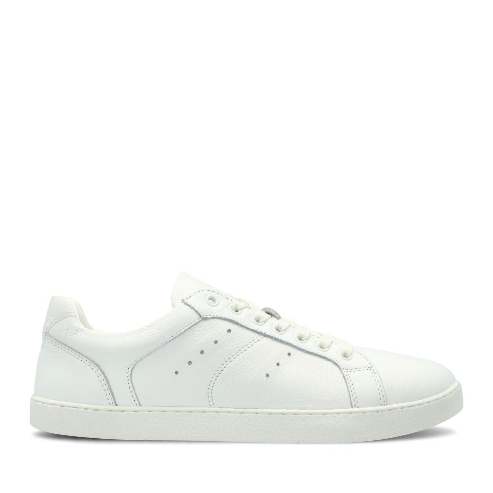 GROUNDIES Universe Regular Sneaker