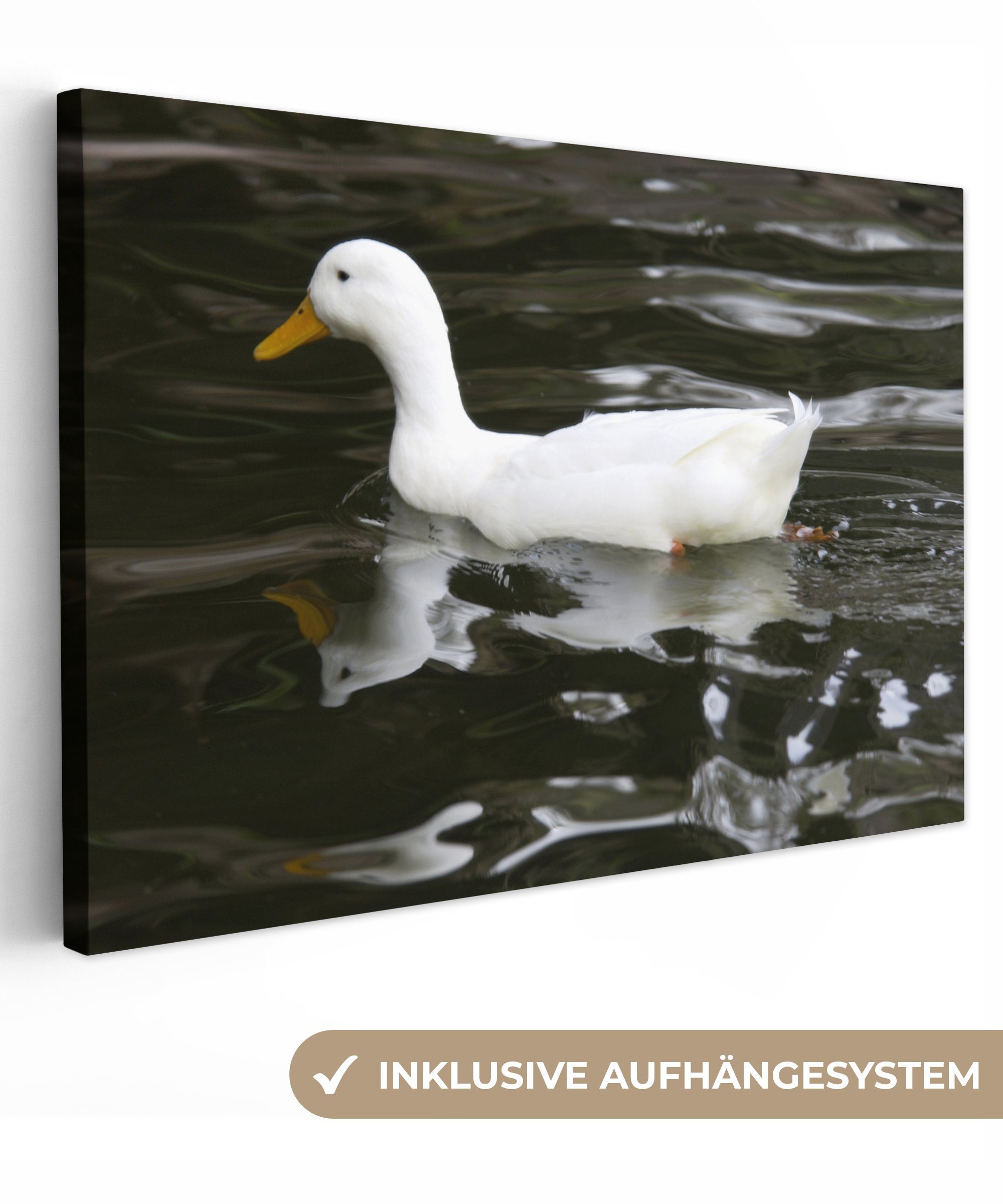 OneMillionCanvasses® Leinwandbild Ente - Weiß - Wasser, (1 St), Wandbild Leinwandbilder, Aufhängefertig, Wanddeko, 30x20 cm