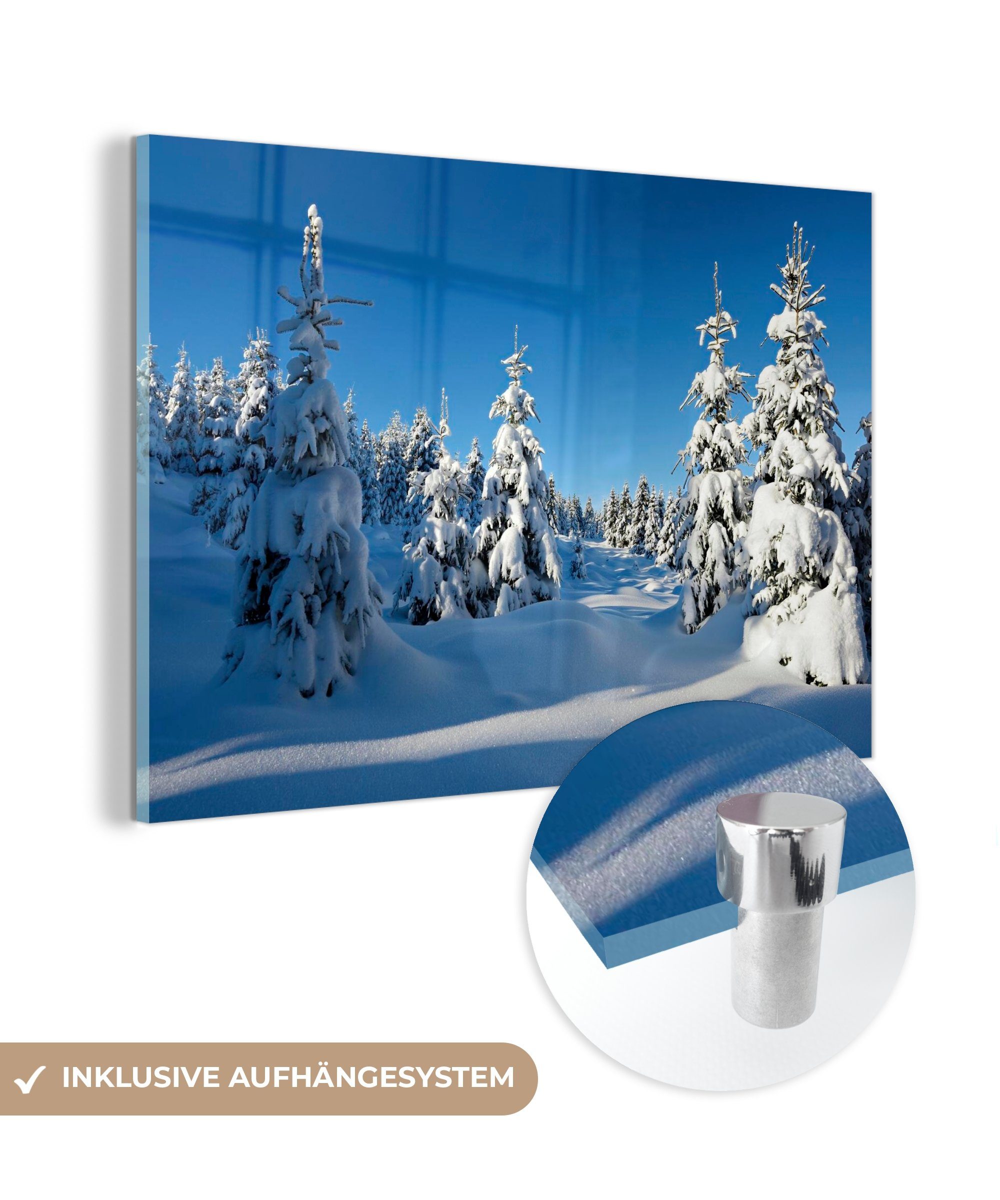 MuchoWow Acrylglasbild Schnee bedeckt die Nadelbäume des Nationalparks Harz in Deutschland, (1 St), Acrylglasbilder Wohnzimmer & Schlafzimmer