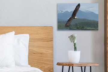 OneMillionCanvasses® Leinwandbild Adler - Vogel - Britisch-Kolumbien, (1 St), Wandbild Leinwandbilder, Aufhängefertig, Wanddeko, 30x20 cm
