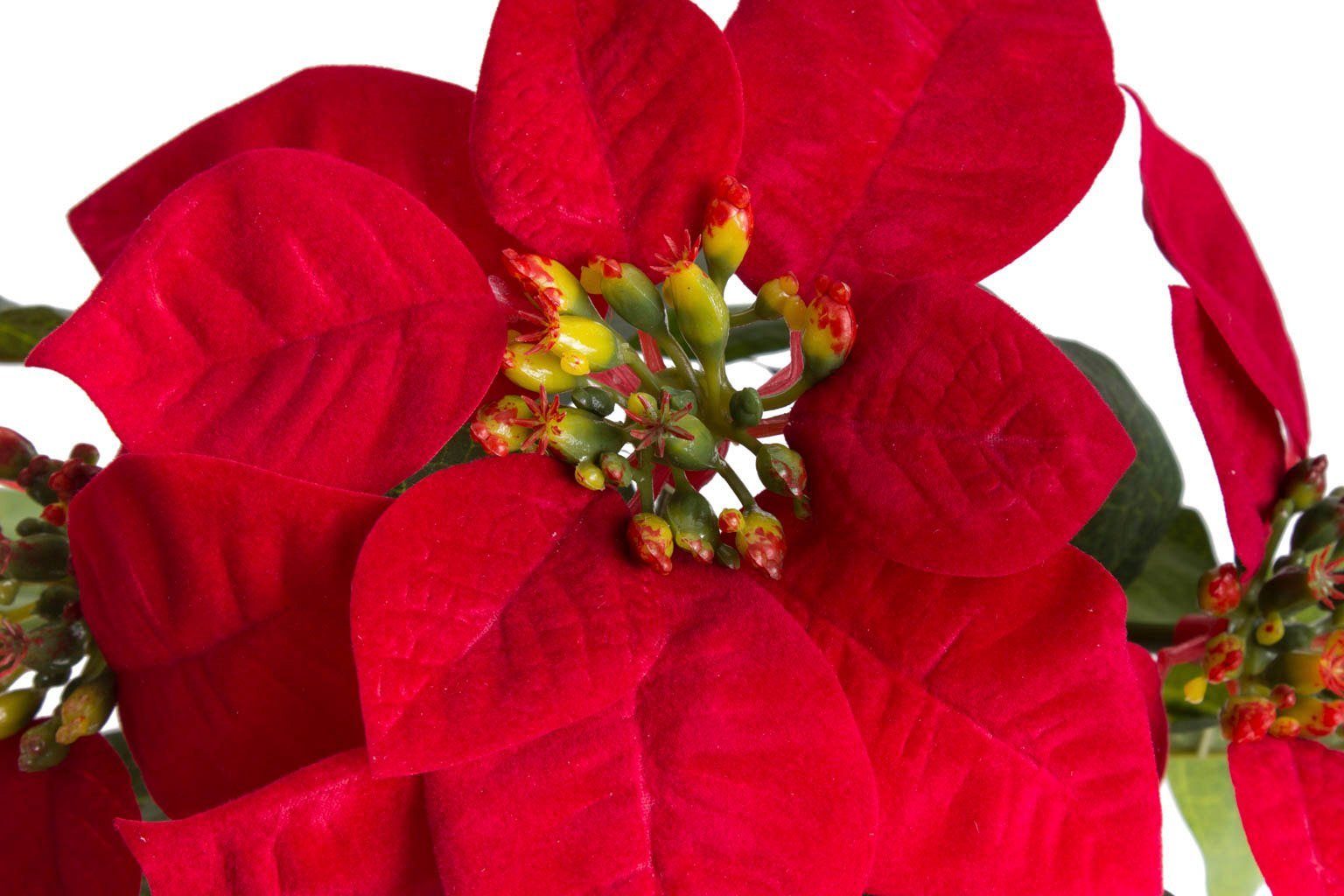 Kunstblume »Poinsettie mit 4 Blüten« Poinsettie, Botanic-Haus, Höhe 22 cm-HomeTrends