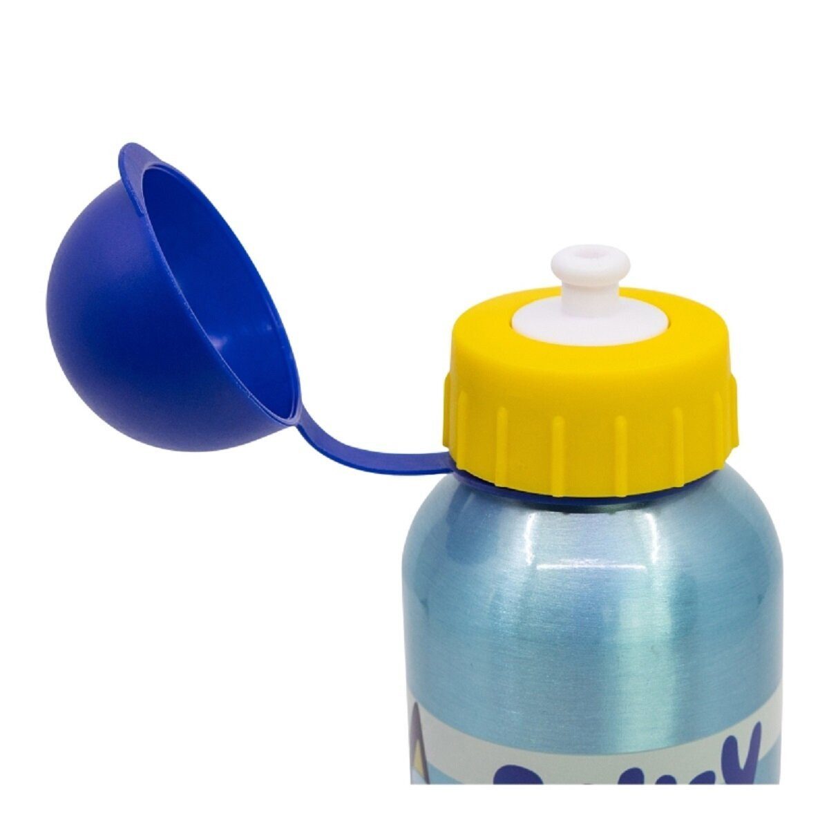 Bluey Trinkflasche Bluey Aluminium Trinkflasche 530ml Kinderflasche für Schule & Freizeit