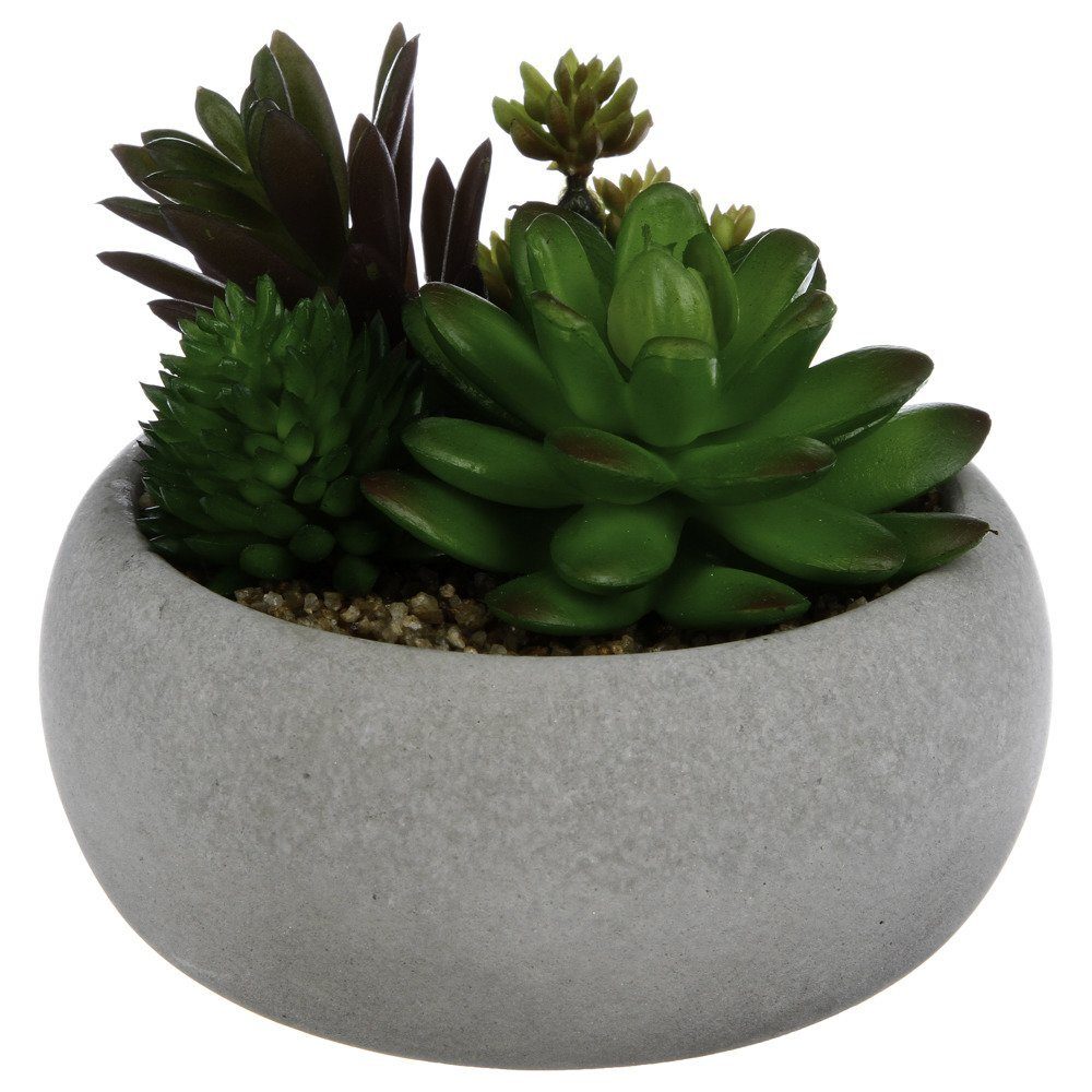 Kunstpflanze Zimmerpflanze, Atmosphera Créateur d'intérieur, Höhe günstig online kaufen