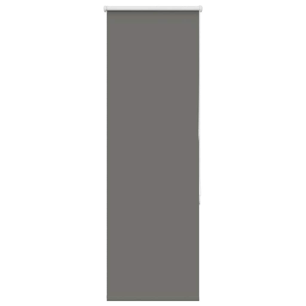 Rollo Verdunkelungsrollo Grau 60x150 cm Stoffbreite 55,7 cm Polyester, vida günstig online kaufen