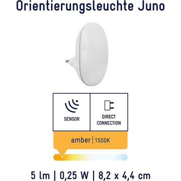 MÜLLER LICHT LED Nachtlicht für Steckdose Juno Sensor Maus Orientierungslicht Amber 1500K, LED fest integriert, Dämmerungssensor