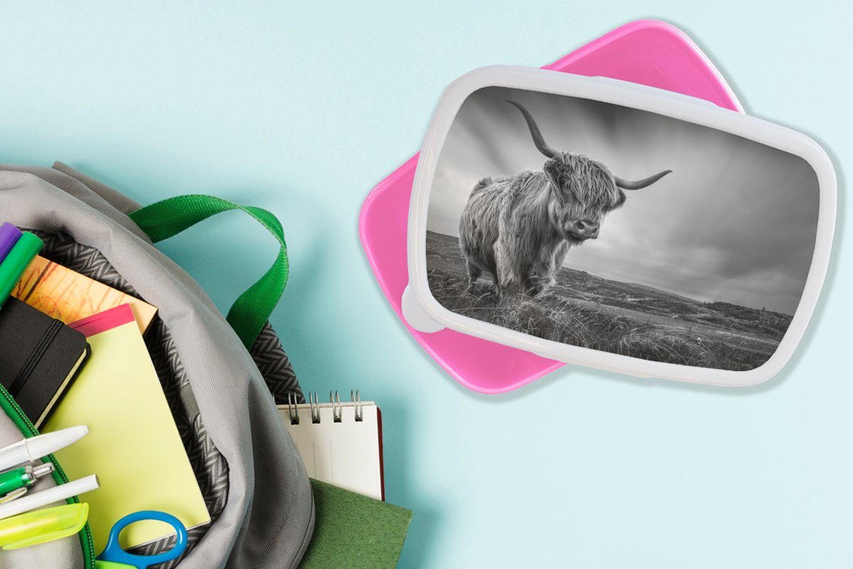 MuchoWow - weiß, Erwachsene, Hochlandkühe rosa Kunststoff, - und Tiere Natur Kühe (2-tlg), Mädchen, Schottische für Kinder, Schwarz Kunststoff Lunchbox - - Brotdose Snackbox, Brotbox