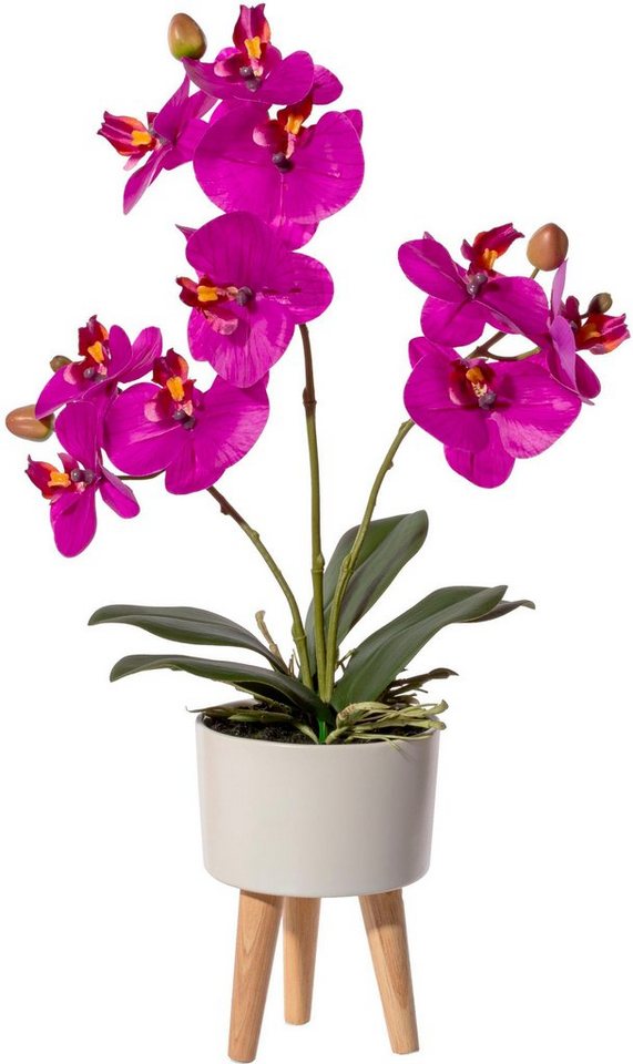 Kunstorchidee Orchidee Phalaenopsis in Keramikschale Orchidee Phalaenopsis, Creativ  green, Höhe 42 cm, mit Real-Touch-Blüten und auf Füßen