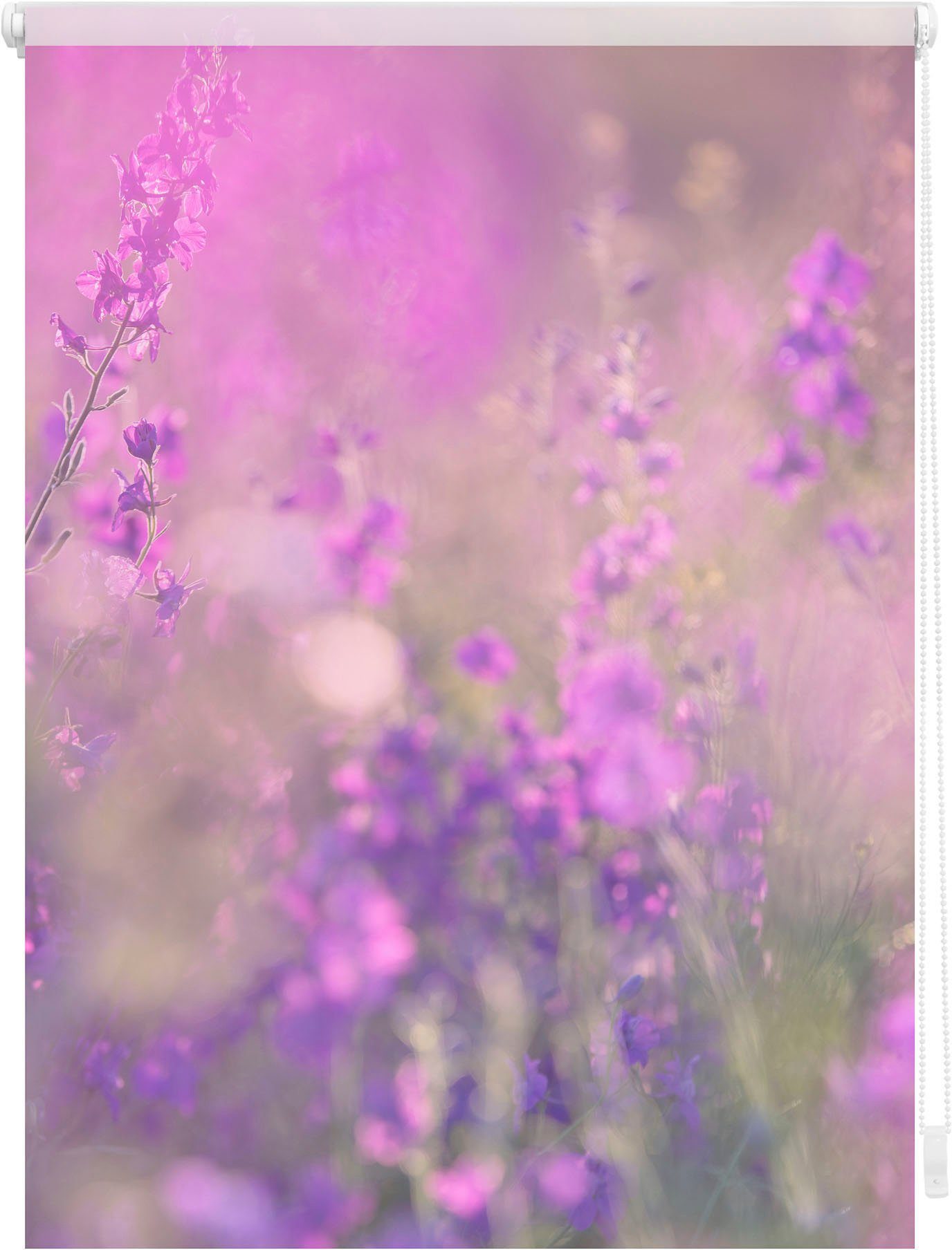 Seitenzugrollo Klemmfix Motiv Blumenwiese, LICHTBLICK Bohren, freihängend, ORIGINAL, ohne Lichtschutz, bedruckt Klemmfix