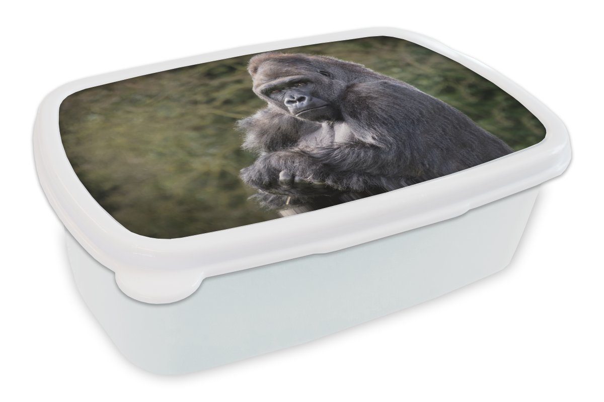 MuchoWow Lunchbox Großer Gorilla schaut direkt in die Kamera, Kunststoff, (2-tlg), Brotbox für Kinder und Erwachsene, Brotdose, für Jungs und Mädchen weiß