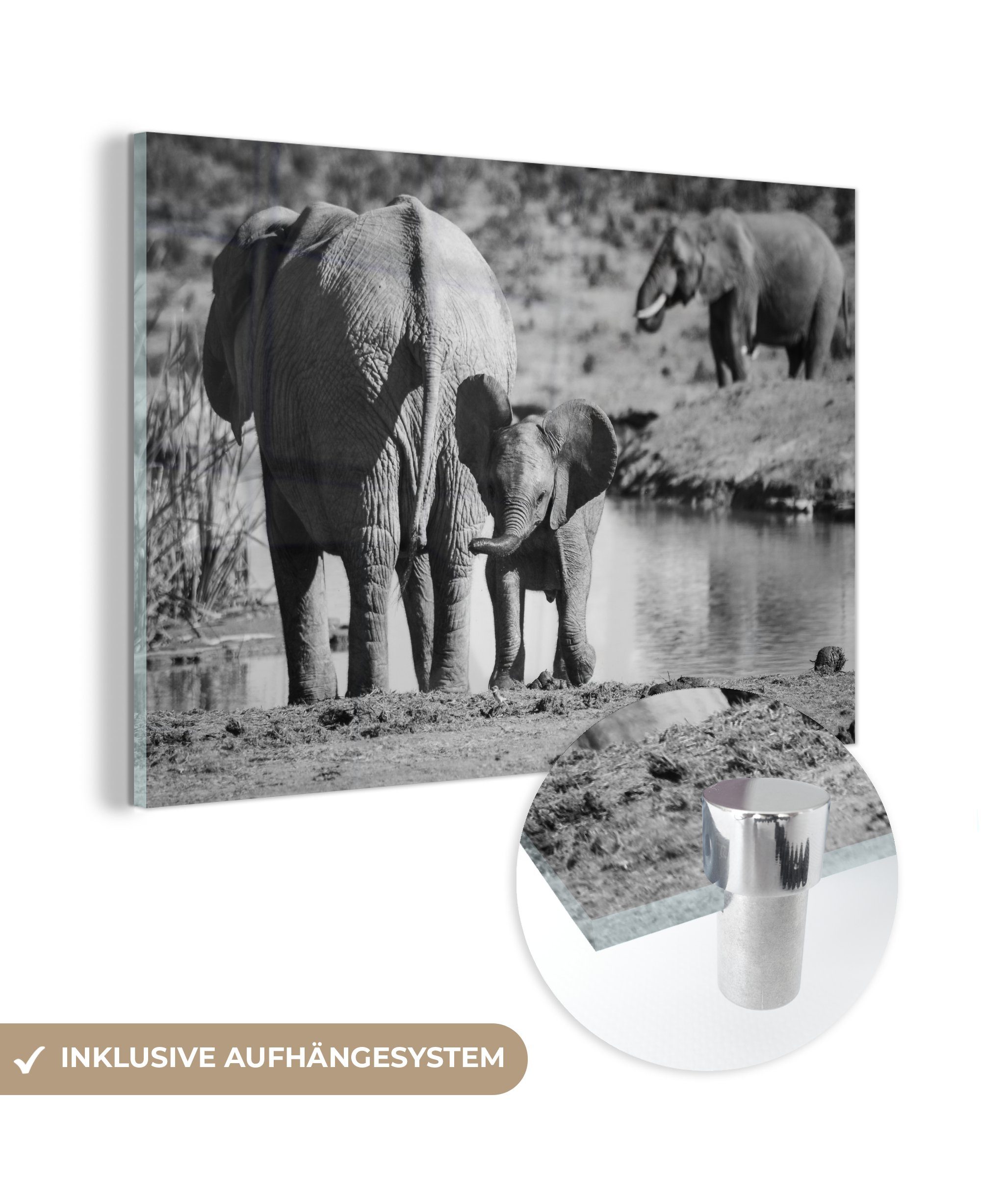 MuchoWow Acrylglasbild Elefantenkalb am Wasser (schwarz/weiß), (1 St), Acrylglasbilder Wohnzimmer & Schlafzimmer