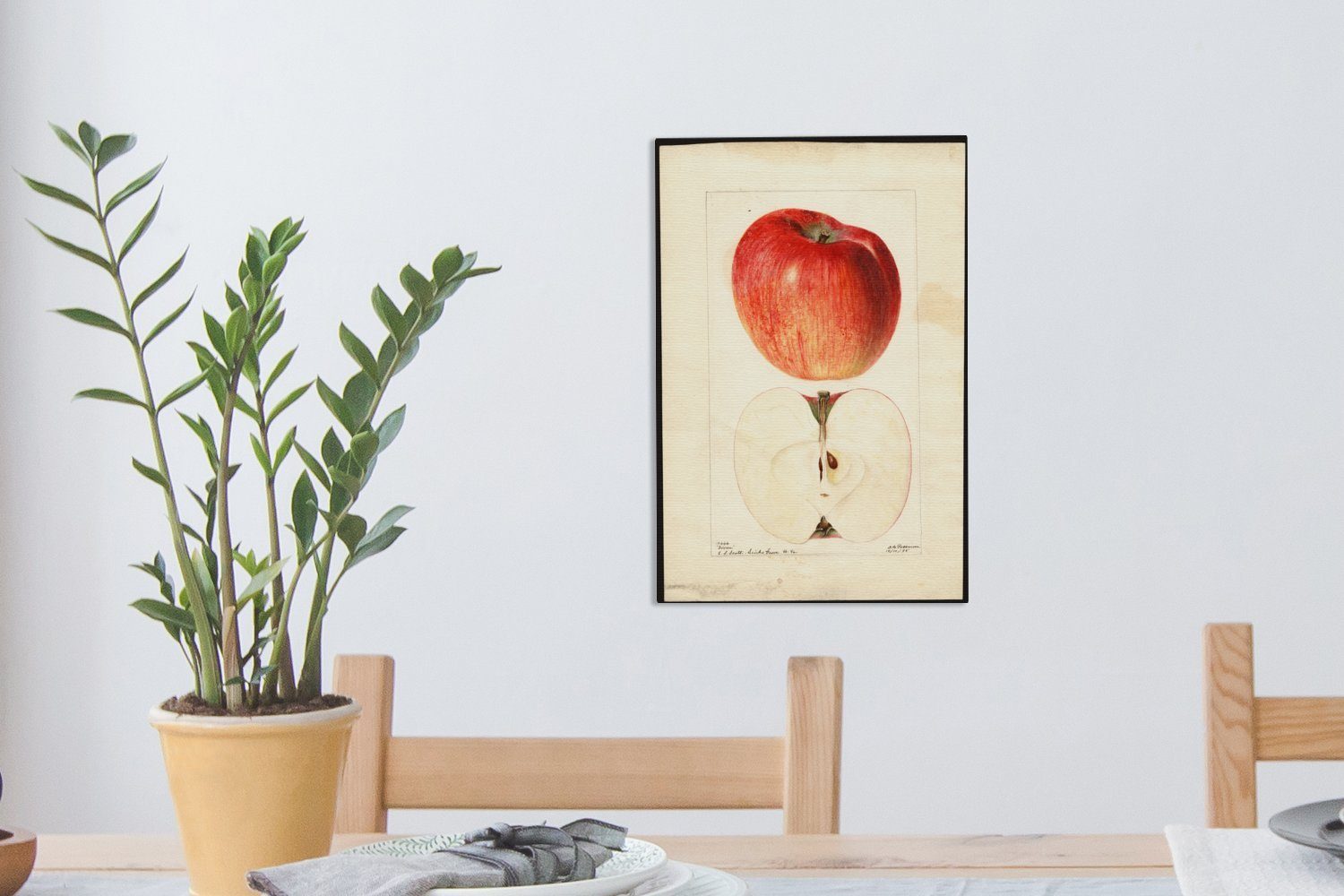 OneMillionCanvasses® Griscom Deborah Zackenaufhänger, cm Gemälde, bespannt Dirpow, Leinwandbild - von Leinwandbild fertig (1 Apfel Gemälde St), Passmore, 20x30 inkl.