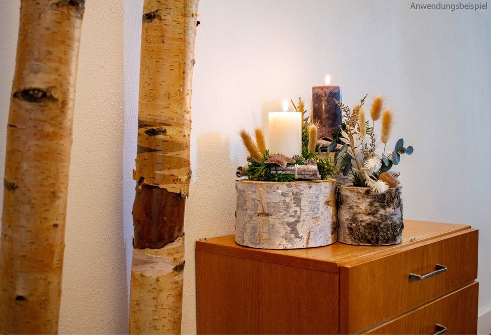 matches21 HOME & HOBBY Blumentopf Pflanztopf günstig online kaufen