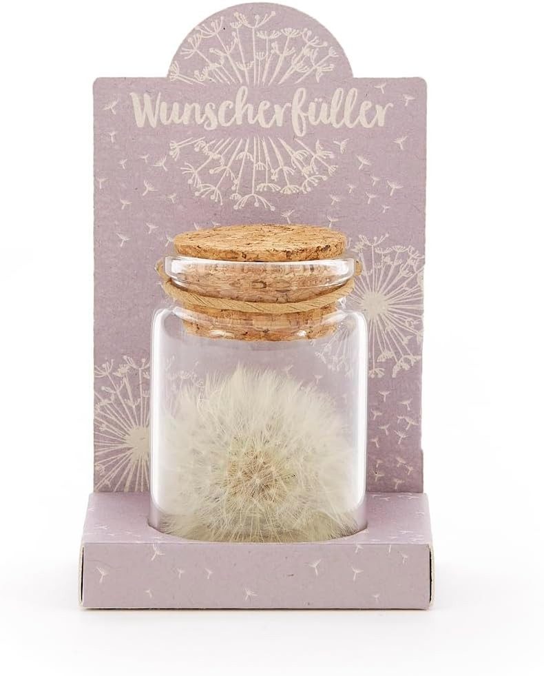 Trockenblume Echte Pusteblume, Toller Wunscherfüller zur Hochzeit, Geburtst günstig online kaufen