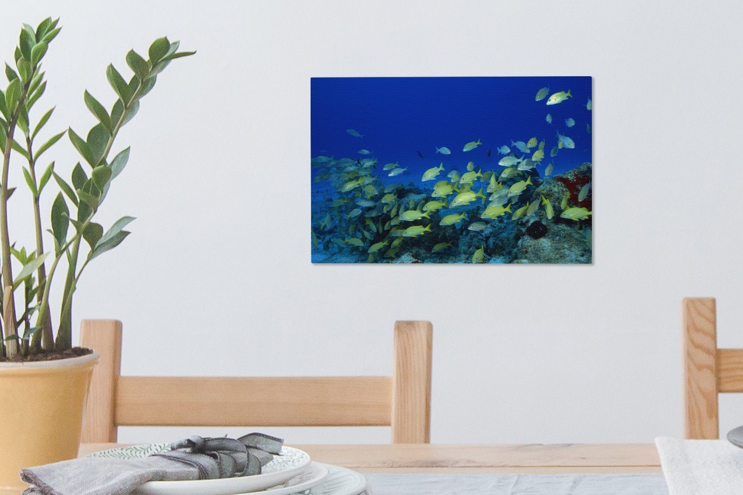 30x20 cm Schule - Aufhängefertig, - Fisch (1 Wanddeko, Meer, Leinwandbilder, Wandbild St), OneMillionCanvasses® Leinwandbild