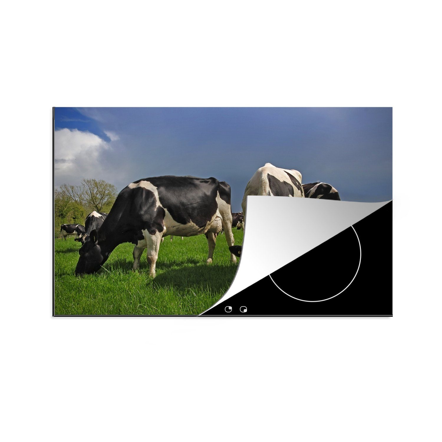 MuchoWow Herdblende-/Abdeckplatte Kühe - Schwarz - Weiß - Blau, Vinyl, (1 tlg), 81x52 cm, Induktionskochfeld Schutz für die küche, Ceranfeldabdeckung