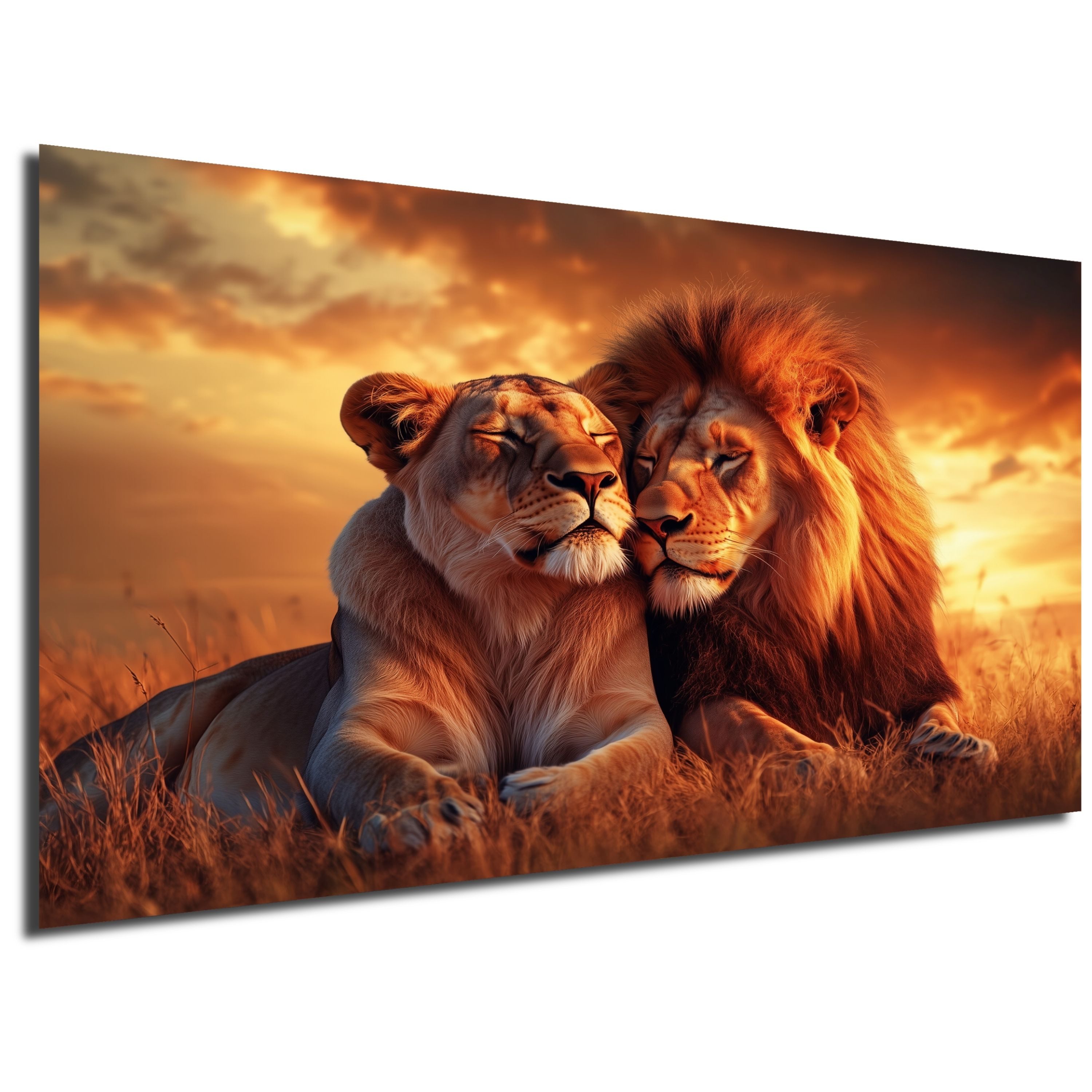 DARO Design Leinwandbild Modern Abstrakt Wandbilder XXL Wandbild Wand Deko günstig online kaufen