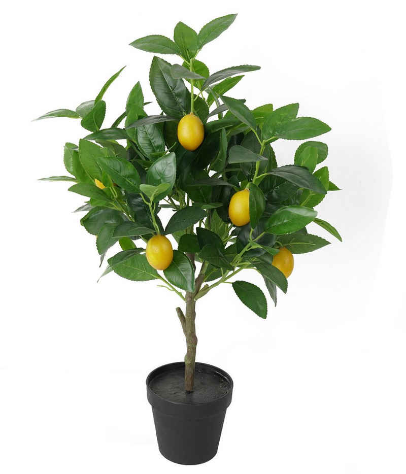 Kunstpflanze »Kunstpflanze Zitronenbaum, 63 x 37 x 40 cm« Keine Angabe, Dehner, Höhe 63 cm